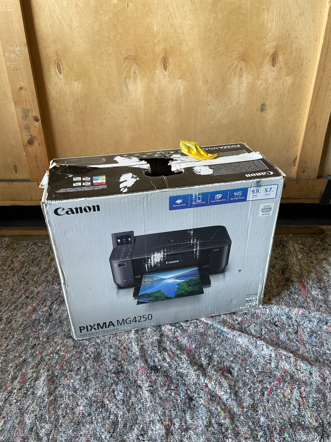 Canon Pixma MG4250