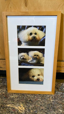 Dogs Frame