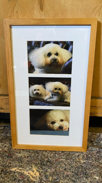 Dogs Frame