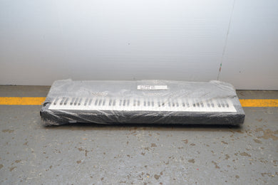 Keyboard (Yamaha P60)